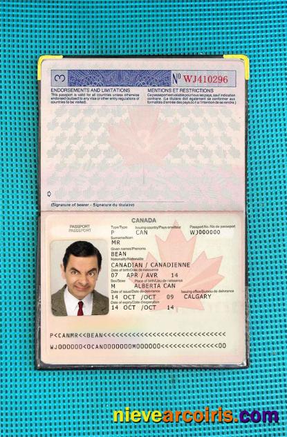 Canada passport (2002-2010) photolook